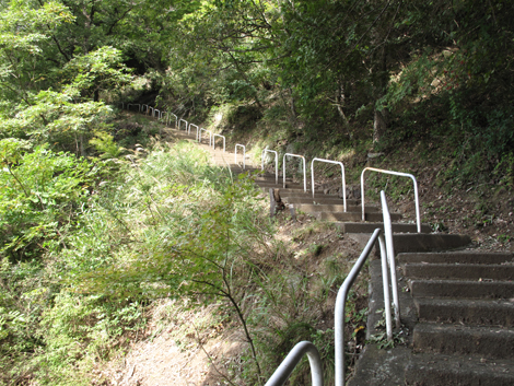 20151006hike (49)